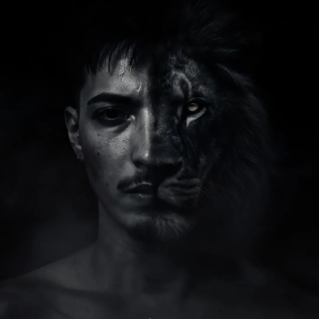 ASLAN 🦁